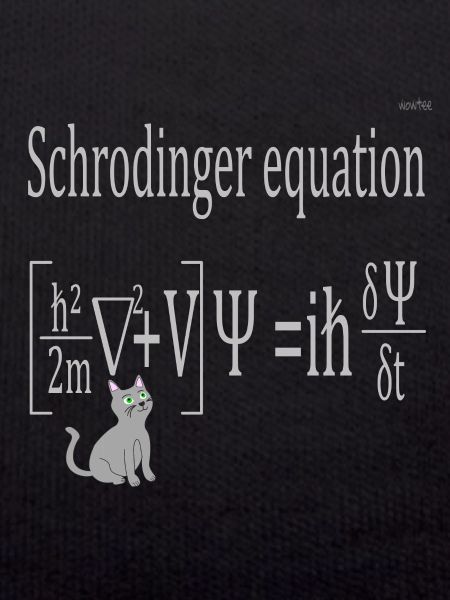 Schrödinger equation