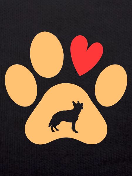 Dog German Shepherd