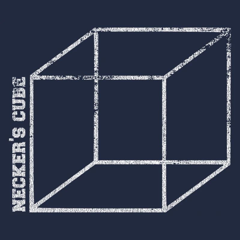 necker illusion