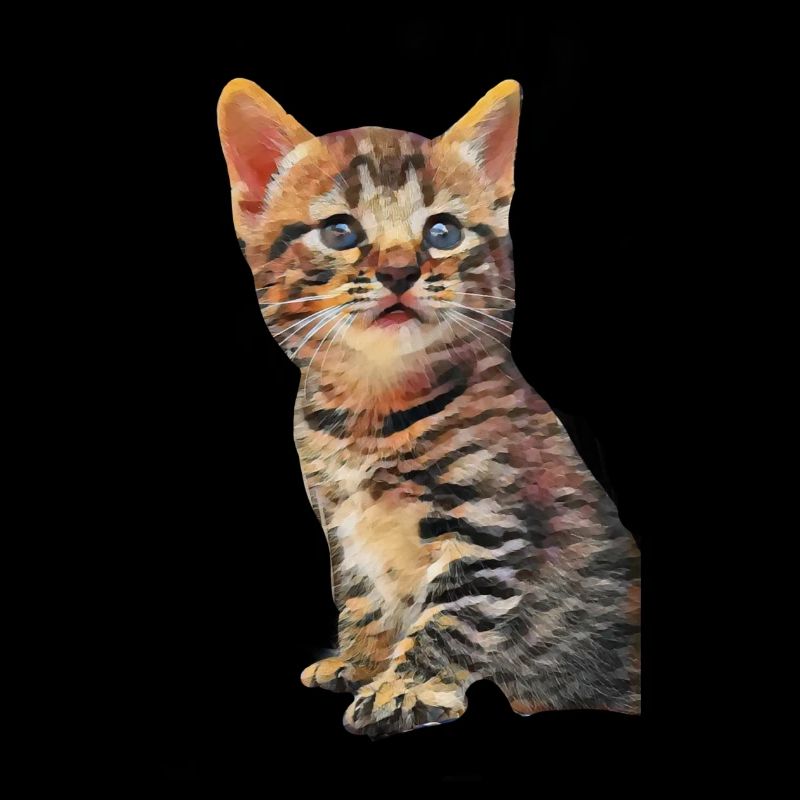 Chat chaton peignant des animaux mignons pour les enfants