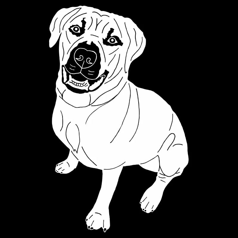 Bullmastiff Mix
