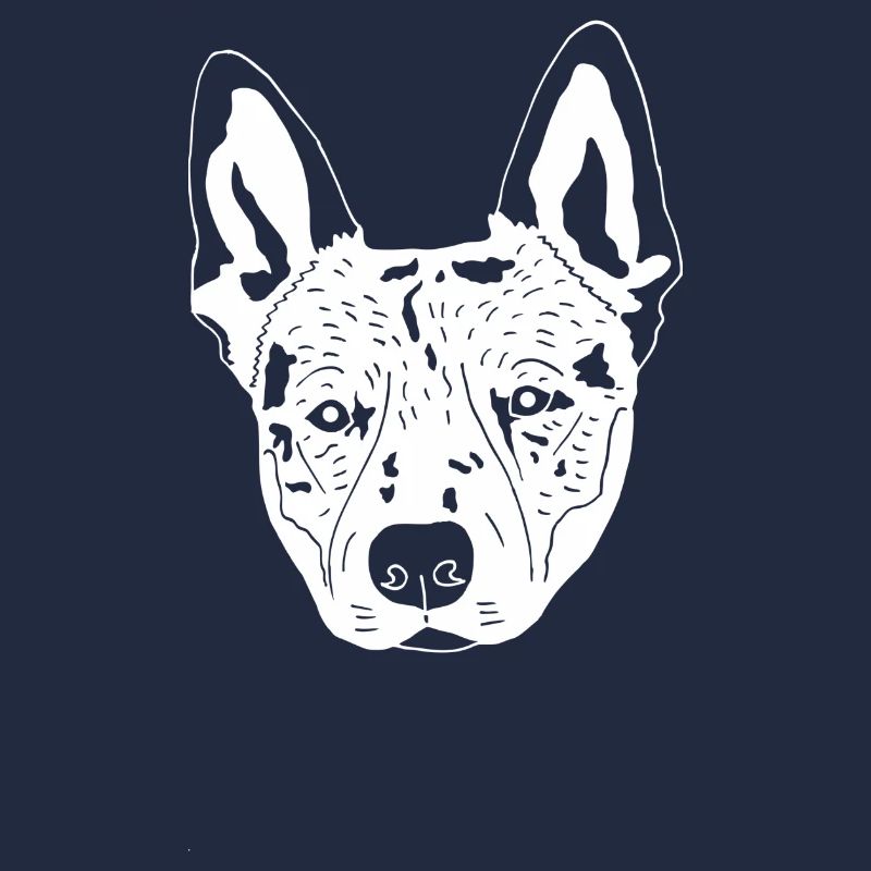 Cattledog