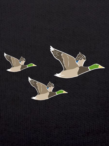 Flying Duck Duck Quak