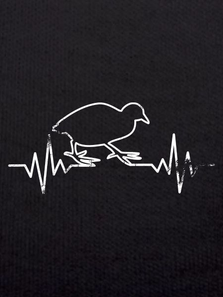 Quail ECG