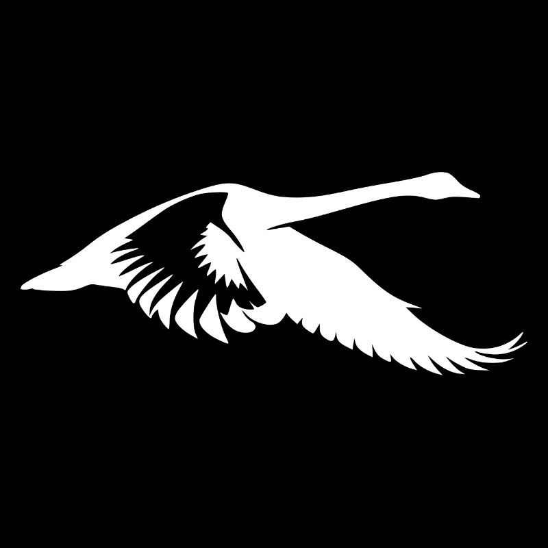 Cygne d’eau volant élégant