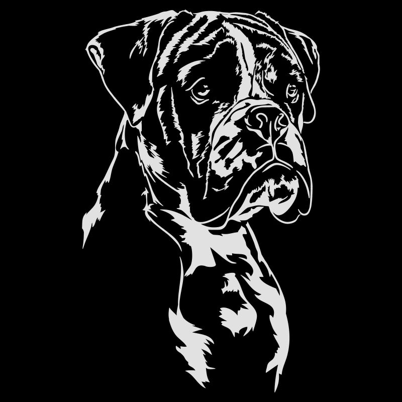 BOXER Portrait Chien Chien Wilsigns