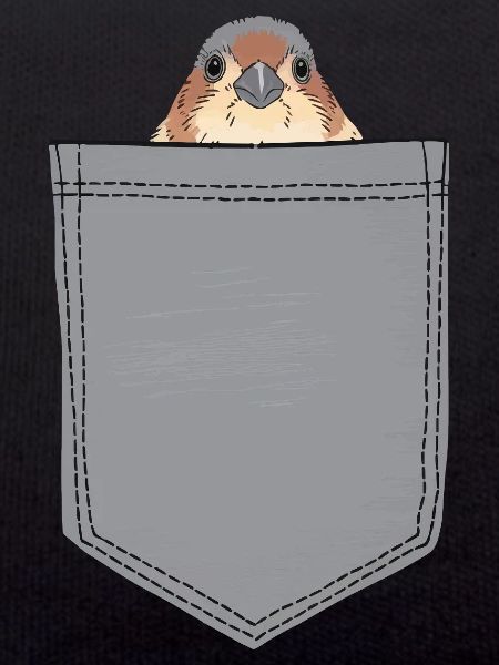 Finch Bird