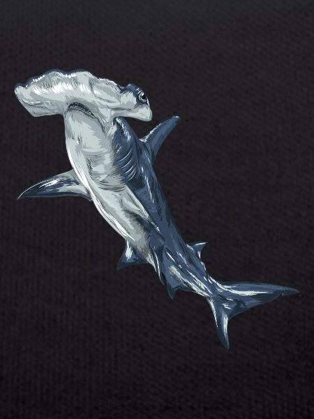 Requin, requin