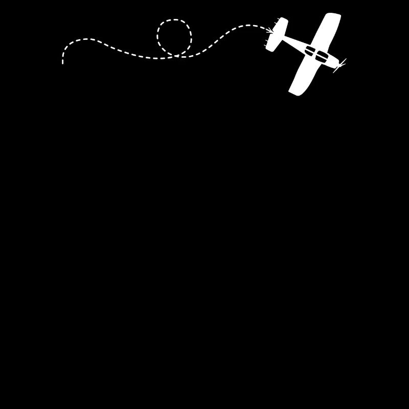 Cadeau d'avion de modèle de vol d'avion