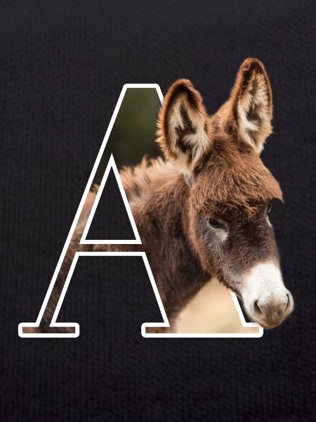 A Animal Alphabet Ane