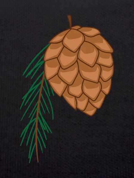 fir cone