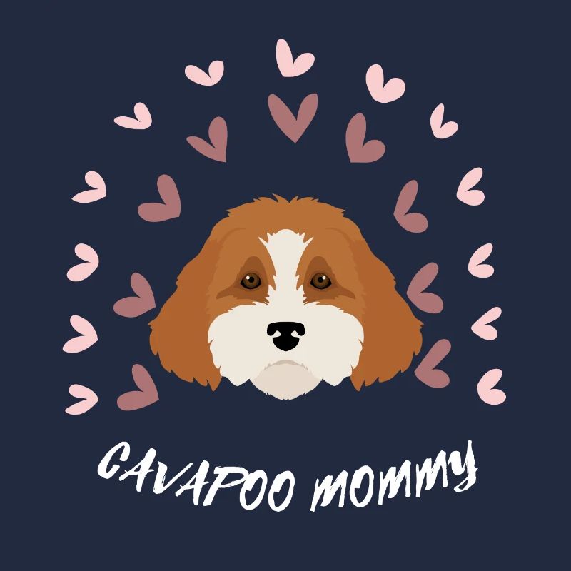 CAVAPOO MAMAN. Beau chien mignon. Amoureux des chiens.