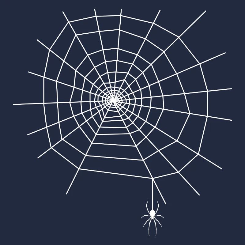 Spinnenweb spin