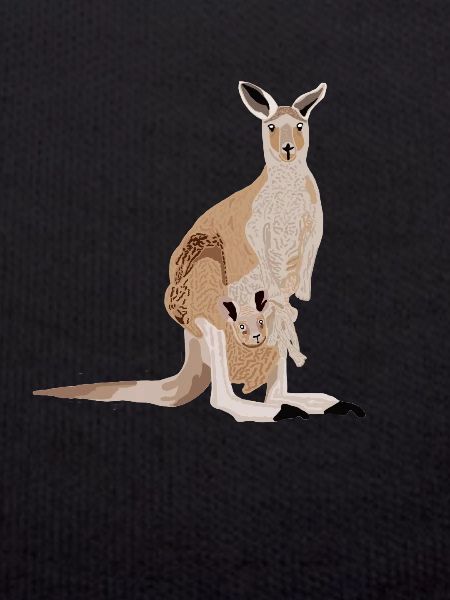 Kangaroo with baby