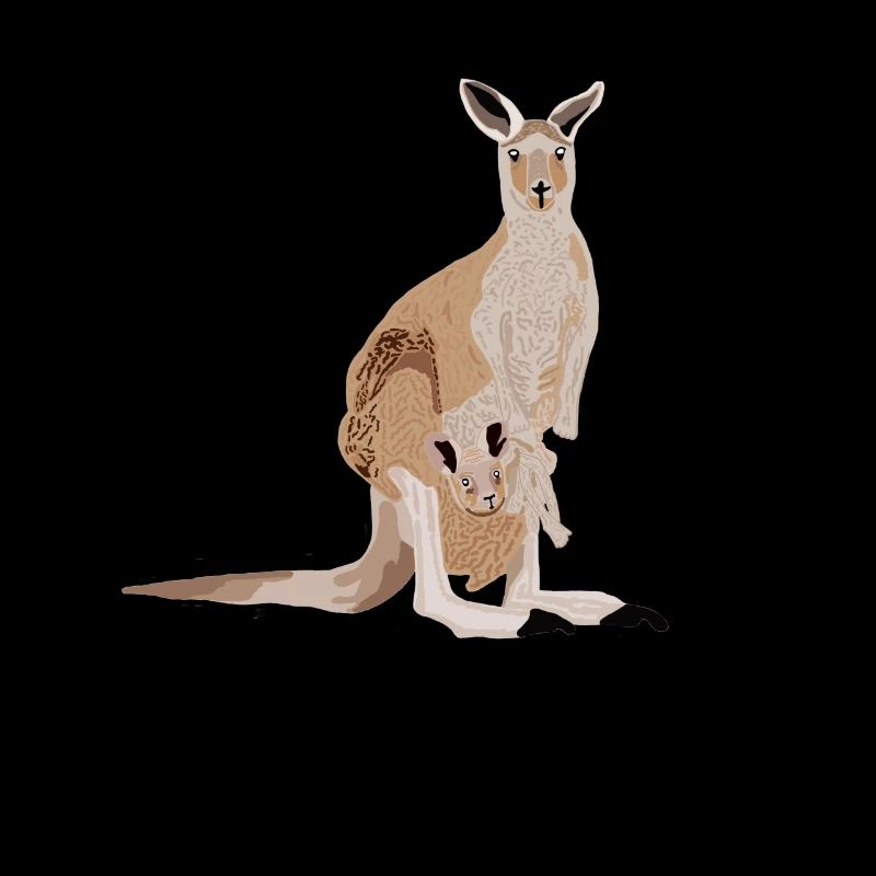 Kangourou avec bébé