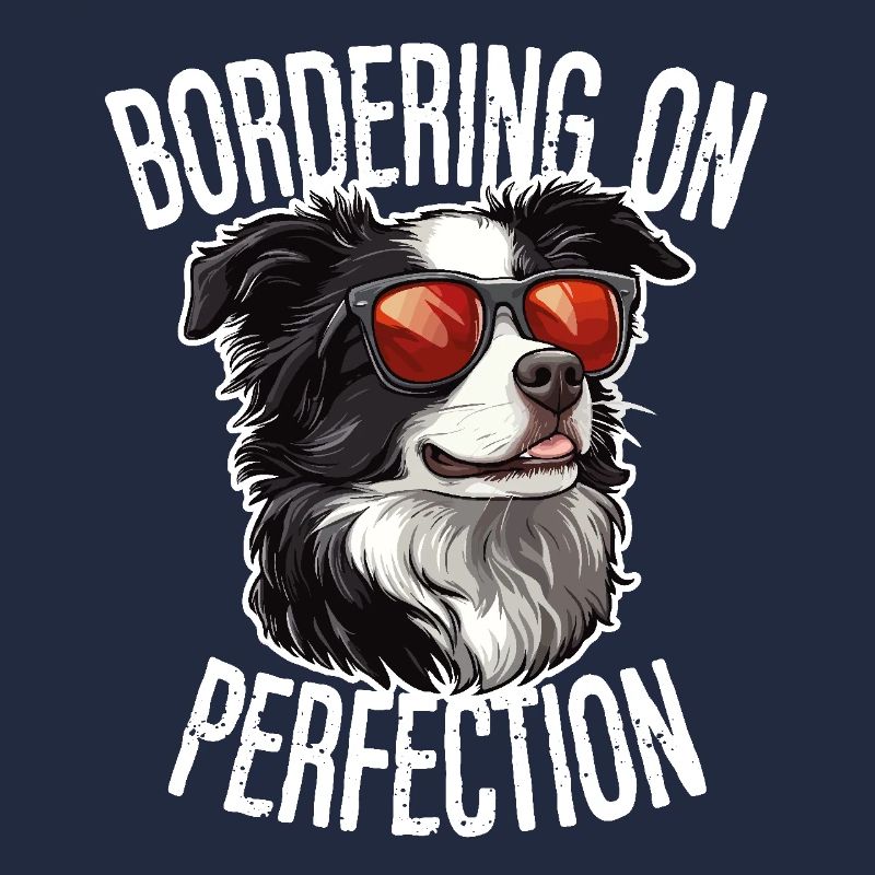 Border Collie Dog Border Collie Bordering On