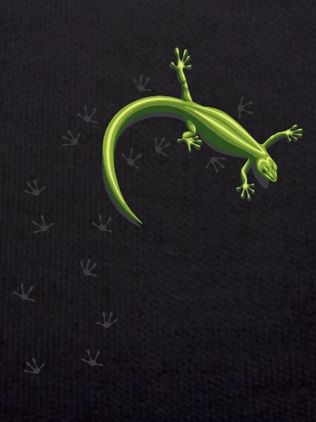 Lizard Tracks