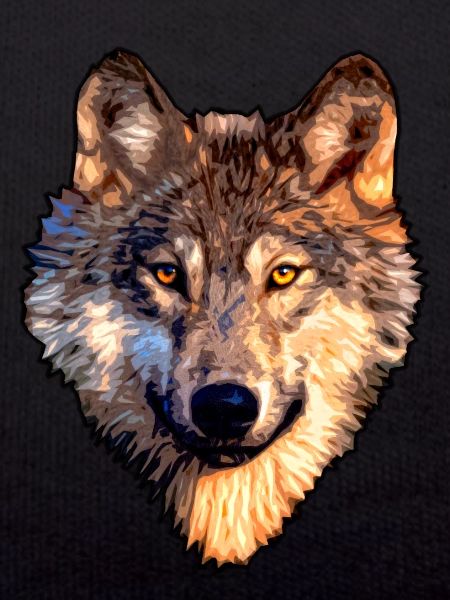 Wolf
