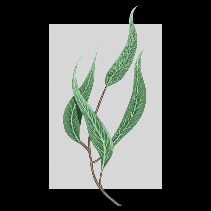 planter