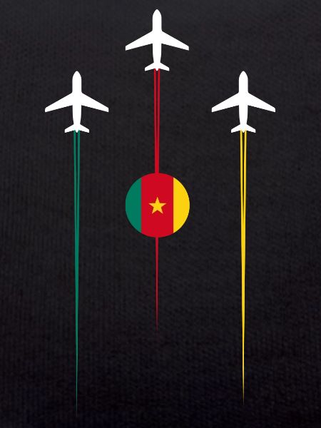 Cameroun Lignes aériennes