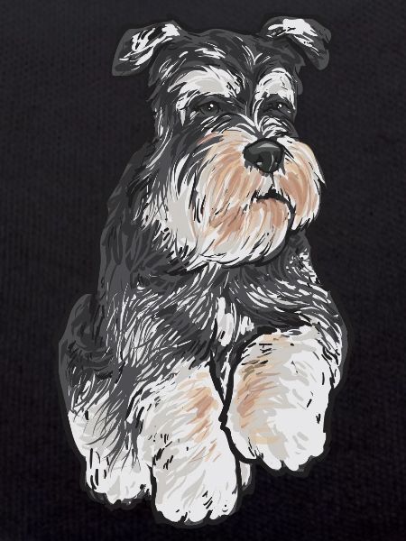 Miniature Schnauzer Dog Schnauzer
