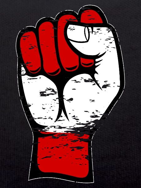 Austria flag fist used