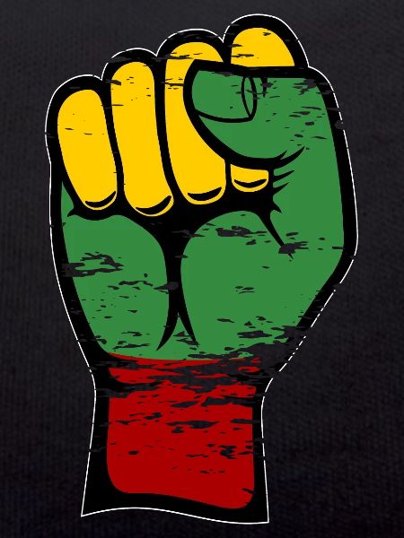 Lithuania flag fist used