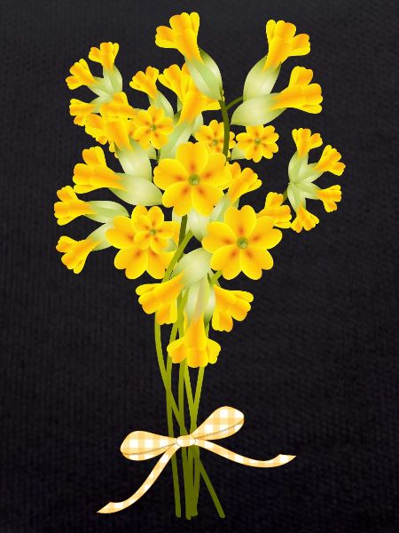 Cowslip Bouquet - Spring Illustration