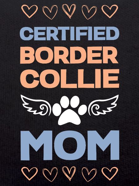 Maman certifiée Border Collie