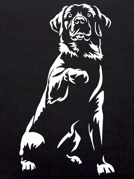 Labrador "Black Edition"
