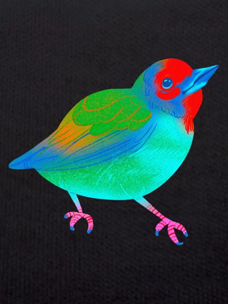 Bird