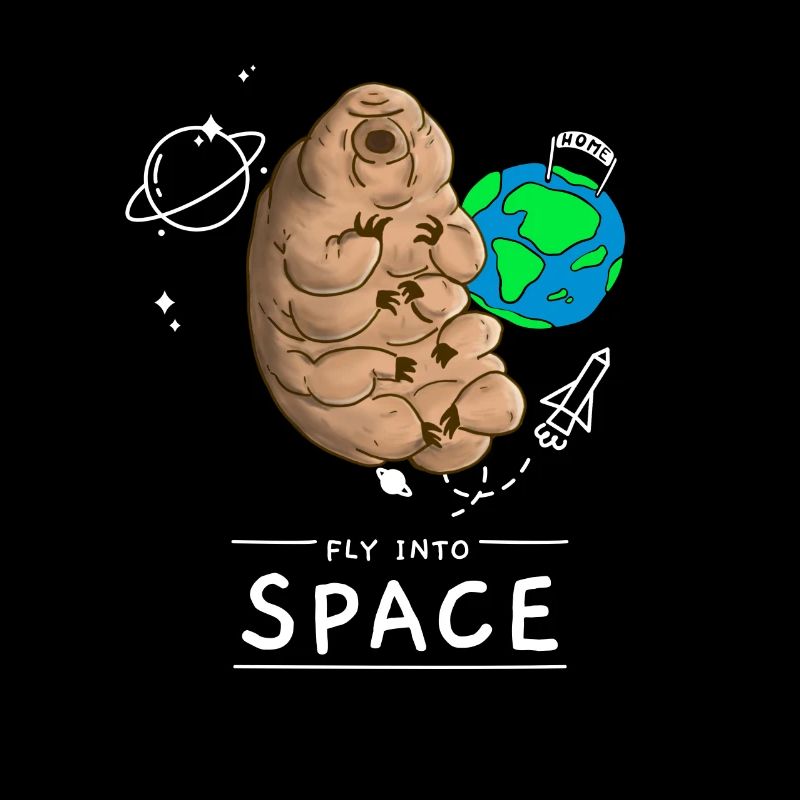 Fly into space