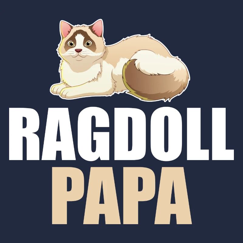 Ragdoll Cat Cat