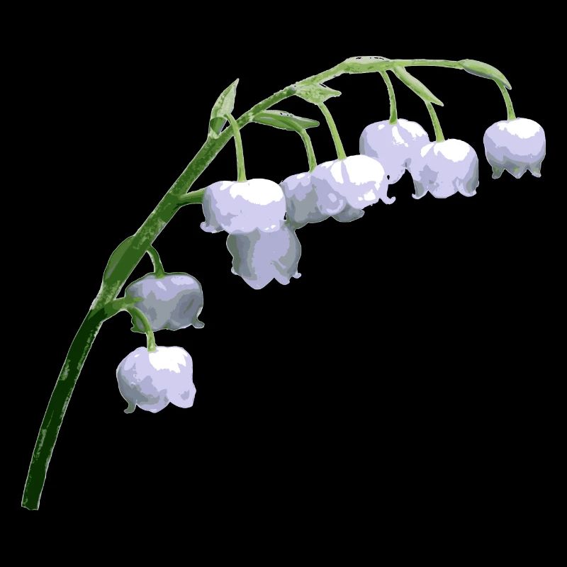 Maiglöckchen Blume Frühjahr Geschenk