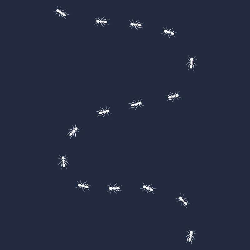 Ant - Ant Road