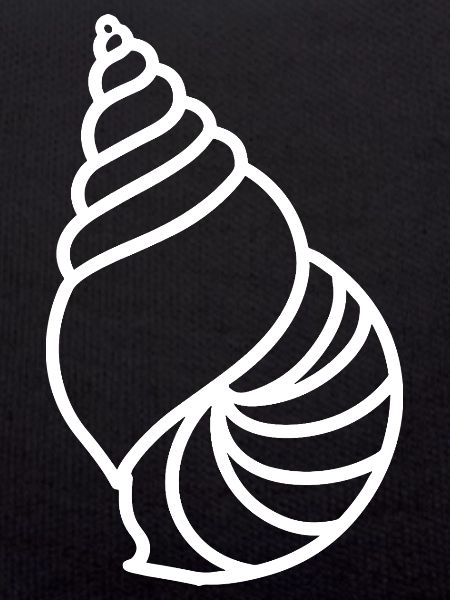 shell