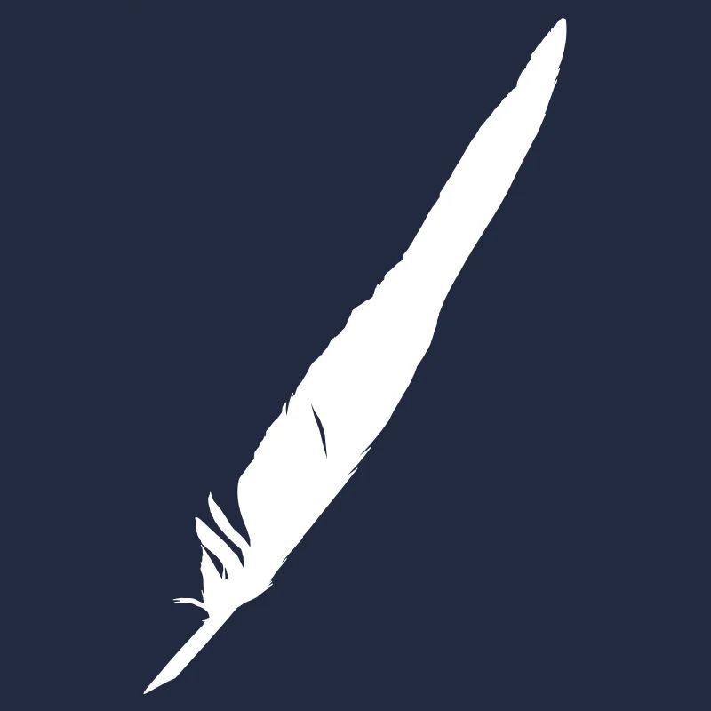 Raven Feather Wings