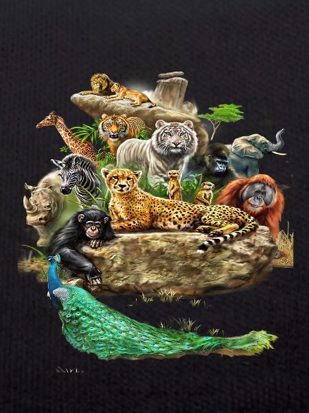 Die wunderschöne Tierwelt