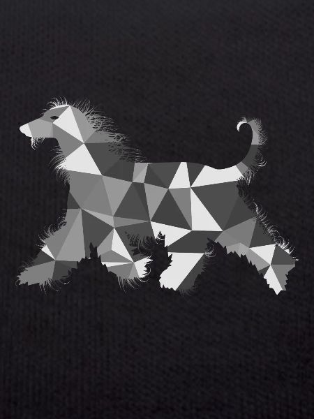 Polygon Afghan Greyhound