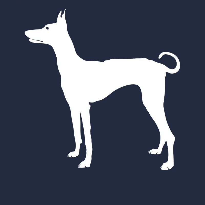 Podenco Ibicenco