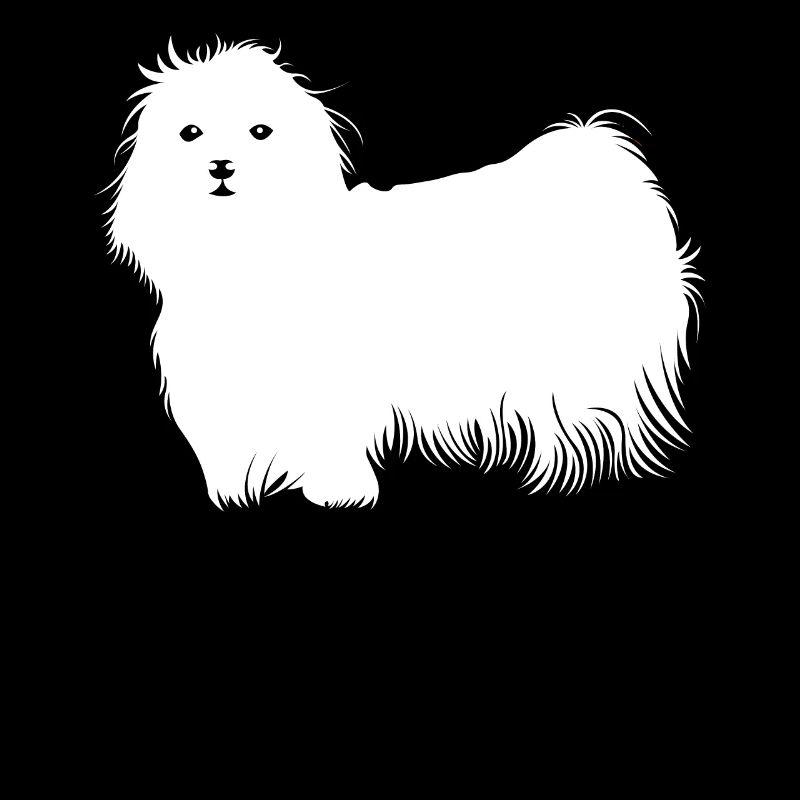 Chien maltais