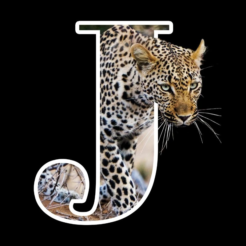 J Jaguar alphabet animaux