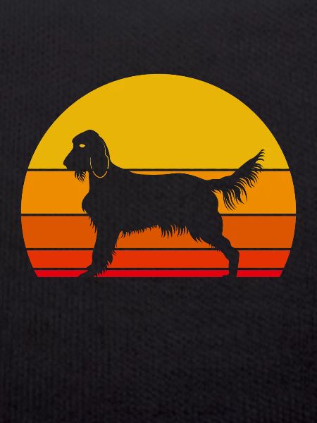 Irish Setter