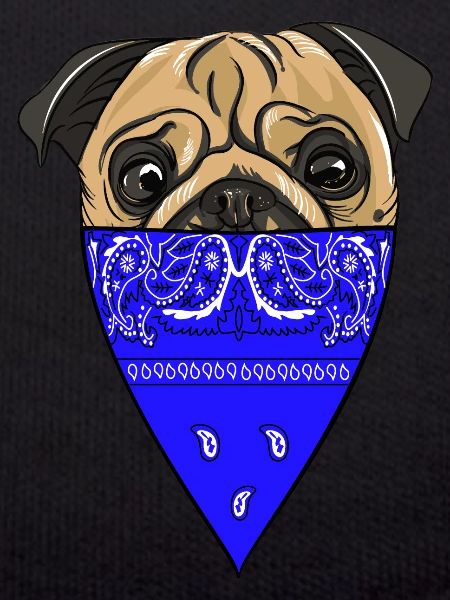 Pug Life