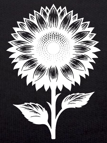 Gartenpflanze blühende Sonnenblume