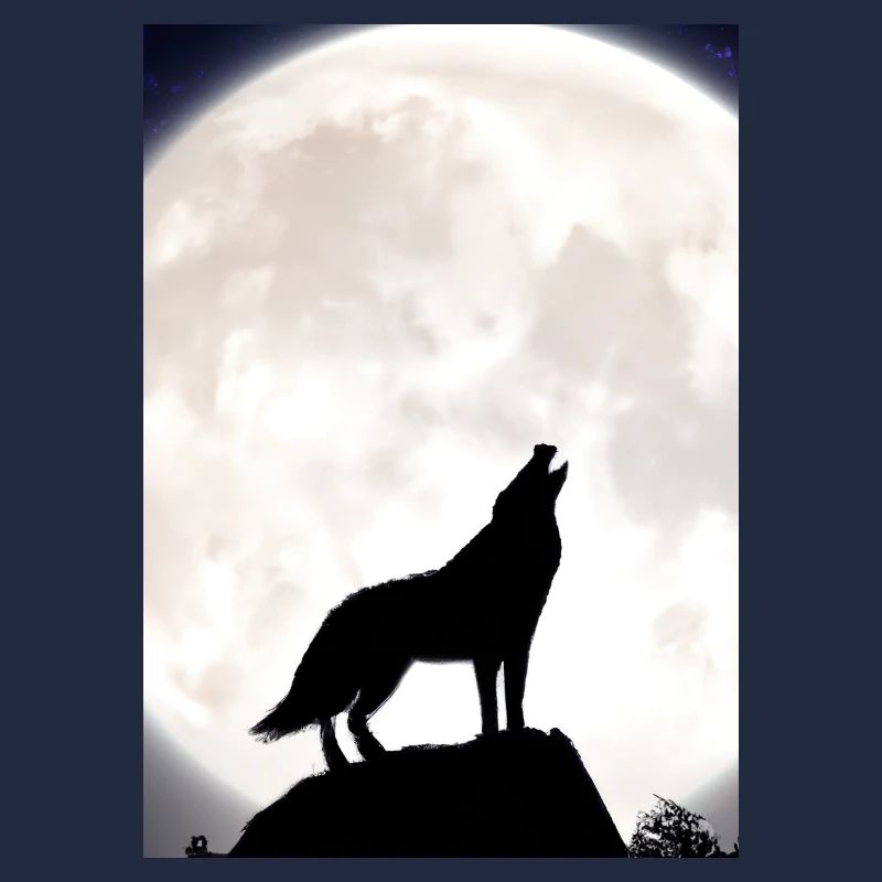 Wolf bei Nacht