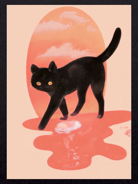 Niedliche schwarze Katze