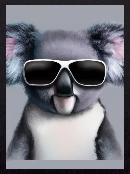 Koala mit Sonnenbrille