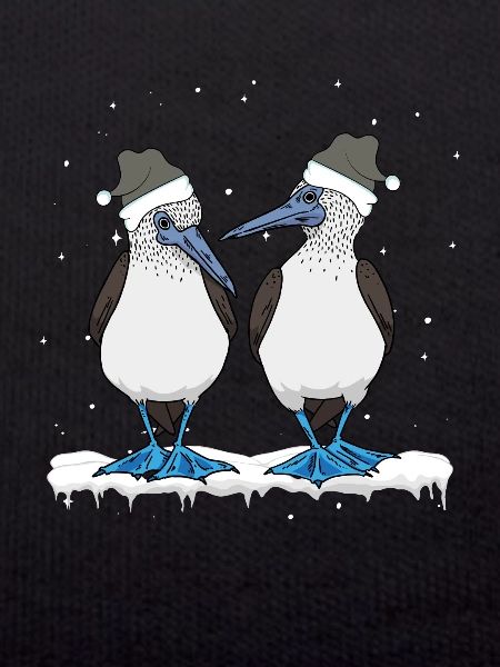 Blue-footed Christmas