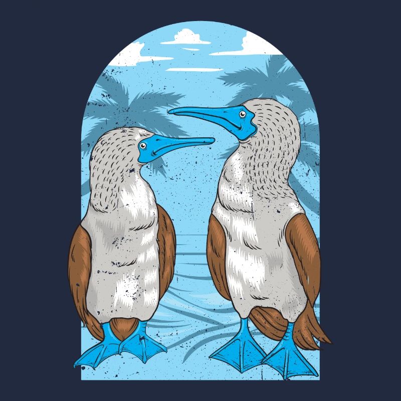 Oiseaux de mer à pieds bleus